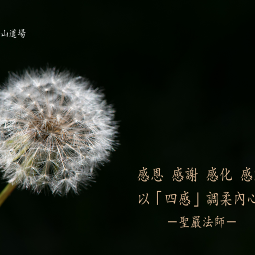 回顧影片 回顧初心